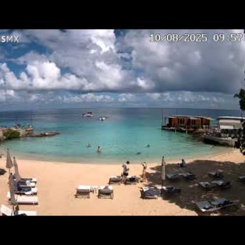 Cozumel Beach Live Cam: Caribbean Paradise Views