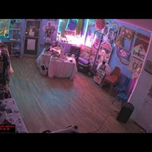 Live View: Paperboy Prince Gallery, Brooklyn, New York