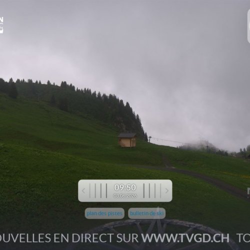 Bretaye Live Webcam: Alpine Views from Villars-Gryon-Diablerets