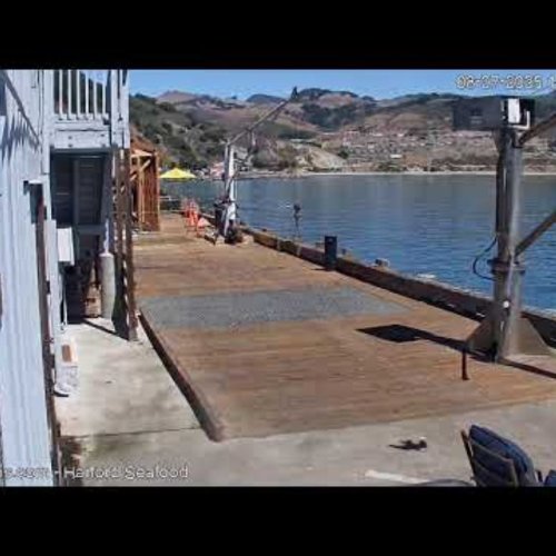 Port San Luis Harford Pier Live Webcam