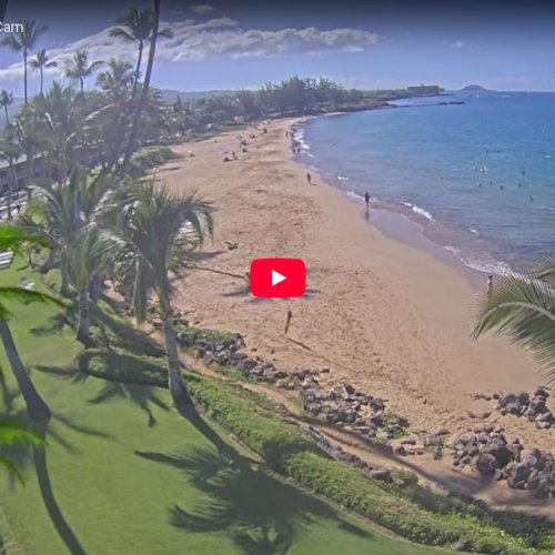 Hale Pau Hana Surf Cam: Live Views of Kamaole Beach Park II, Kihei, Maui 🌊