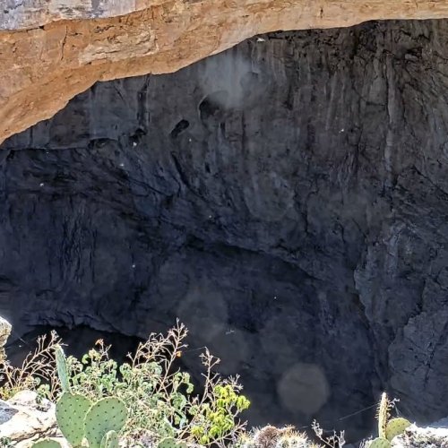 Witness Nature's Majesty: Carlsbad Caverns Natural Entrance