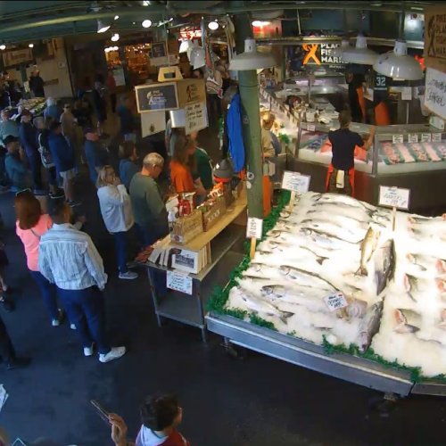 Pike Place Fish Market Live Webcam: Seattle's Iconic Waterfront View