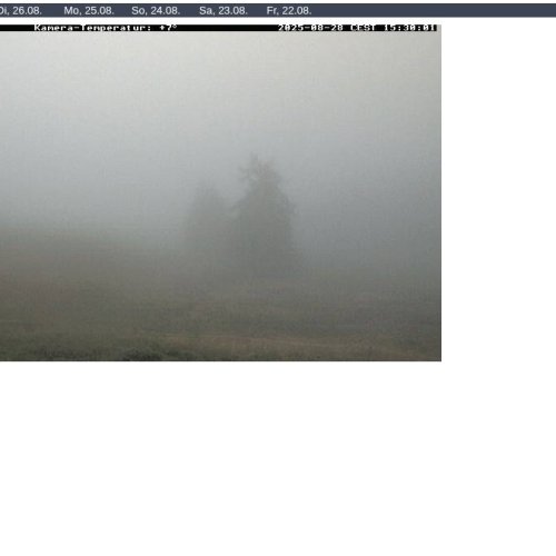 Meckisalm Zetterfeld Live Webcam: Lienz Alpine Views