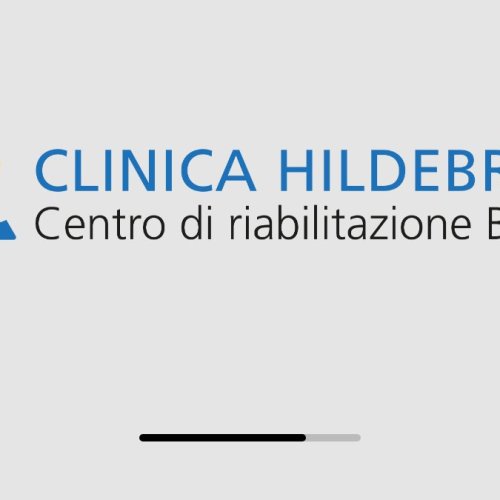 Clinica Hildebrand Brissago Live Webcam: Lake Maggiore & Swiss Alps View