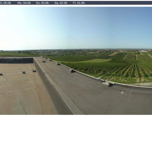 Gols, Austria Live Webcam: Vineyard Panorama