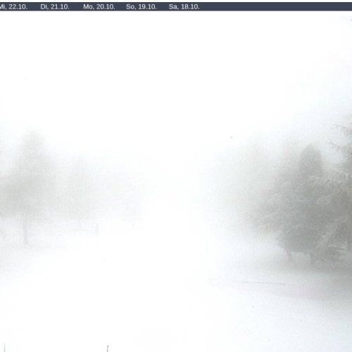 Riederalp Golf Club Webcam: Live Alpine Views from Aletsch Arena, Switzerland