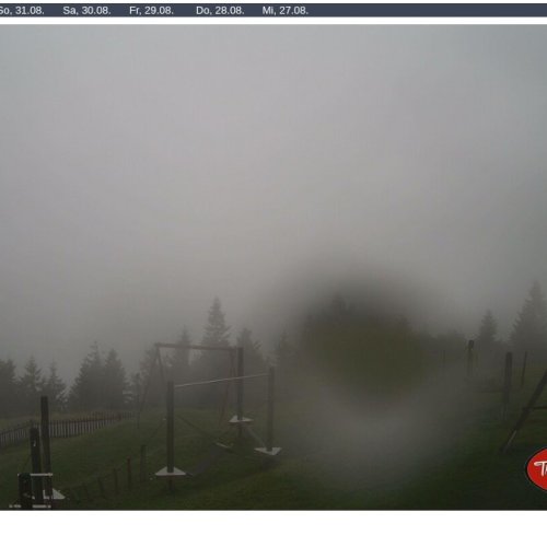Enzianhütte Trattberg Live Webcam: Alpine Views from St. Koloman