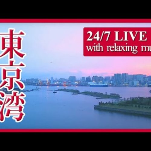 Odaiba & Skyline Panorama Live View