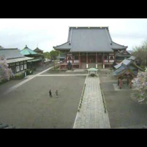 Ikegami Honmon-ji Temple Live View | Ōta, Japan 🌳