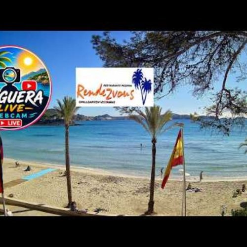 Paguera Beach Live Stream