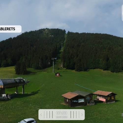 École Suisse De Ski Diablerets Live View