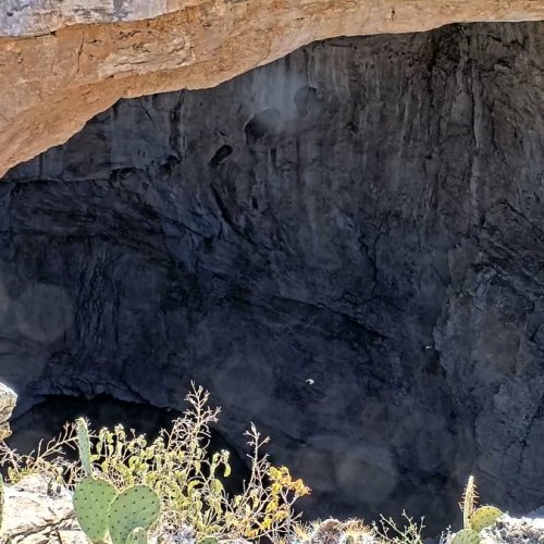 Carlsbad Caverns Live Webcam: View of The Big Room Entrance