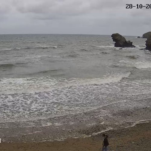Llangrannog Beach Live Webcam: Coastal Views & Welsh Charm