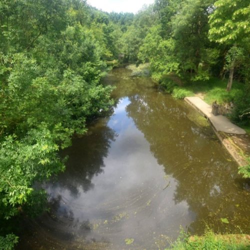 La Roche-sur-Yon Moulin de Rambourg Live View