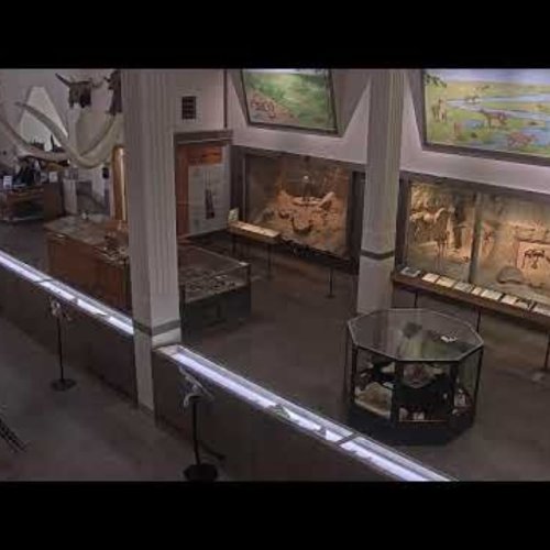 SDSM&T Museum of Geology Live: Dinosaur & Fossil Exhibits, Rapid City 🇺🇸