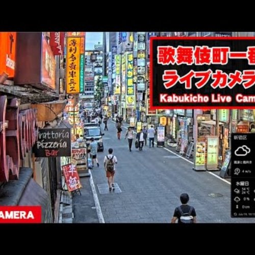 Live View of Kabukicho Street in Shinjuku, Tokyo