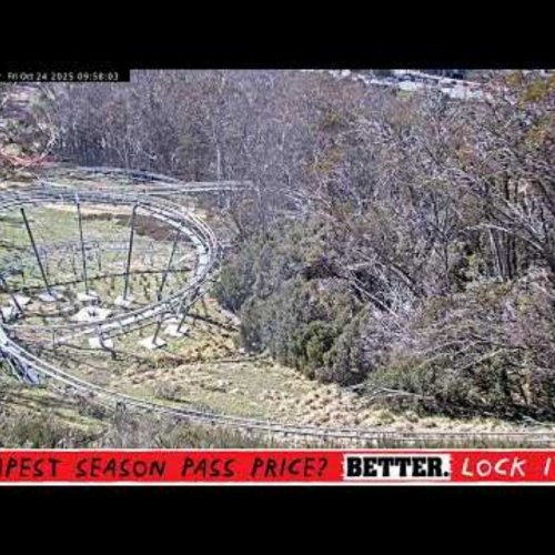 Thredbo Alpine Coaster: Live Mountain Adventure in Australia