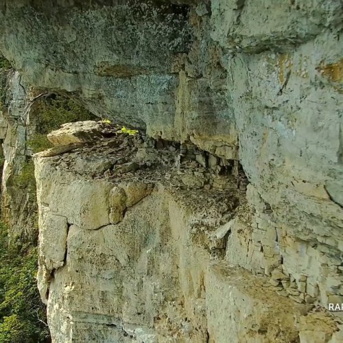 Decorah Cliffs Falcon Nest Live Camera