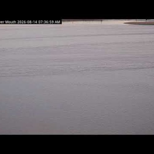 Kenai River Mouth Live Camera: Alaska Wildlife & Weather