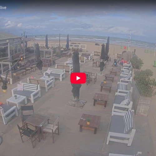 Zandvoort Beach Bar Live Webcam: De Haven