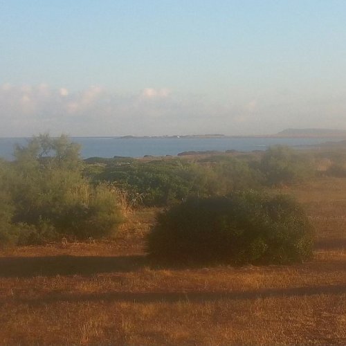 Experience the Natural Beauty of Arutas Beach in Oristano, Italy