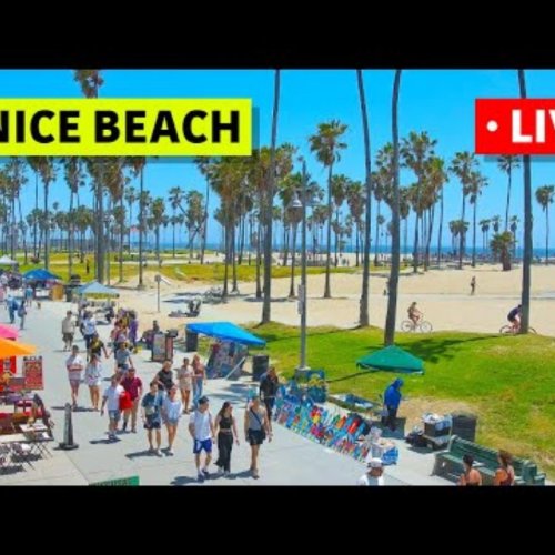 Live Venice Beach Webcam: Oceanfront Boardwalk & Palm Trees