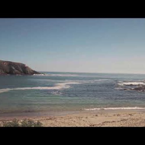 Horseshoe Cove, Bodega Marine Reserve Live Webcam