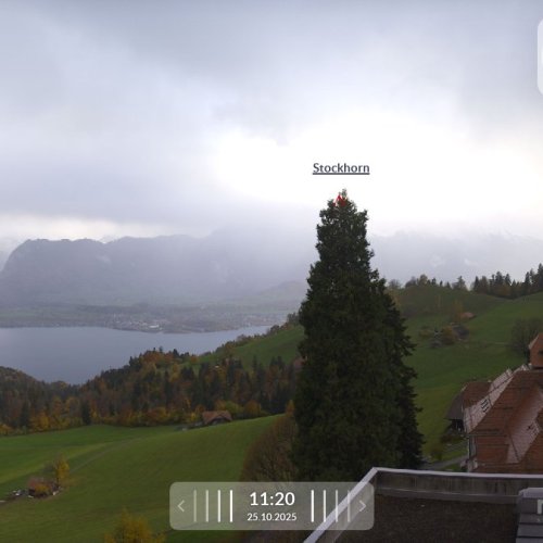 Berner Reha Zentrum Heiligenschwendi: Live Lake Thun & Alpine Panorama