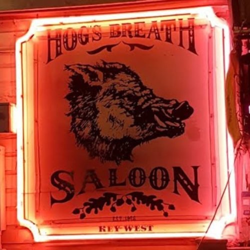 Hog's Breath Saloon Live Webcam in Key West, Florida