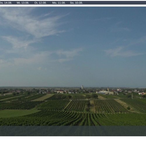 Gols, Austria: Live Vineyard & Town Views