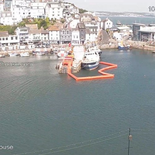 Brixham Harbour Panorama: Boats and Bustle