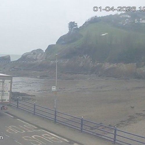 Online Camera Combe Martin Beach