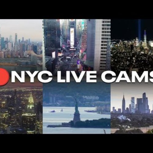 Experience The City That Never Sleeps: New York City Live