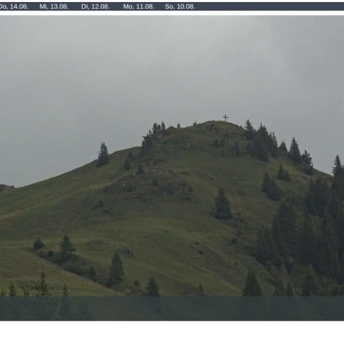 Bichlalm Kitzbühel Live Webcam: Alpine Views at 1580m