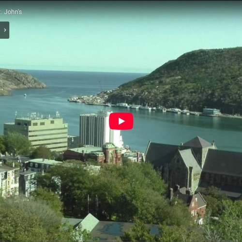 St. John's Harbour HD Webcam