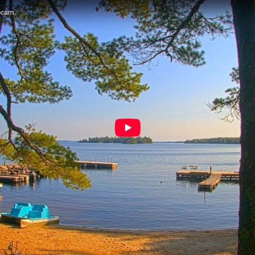 Camp Idlewood Minnesota Live Webcam: Lakeside Views & Nature