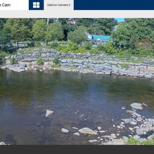 Pulaski Salmon River: Live Stream & Fishing in New York