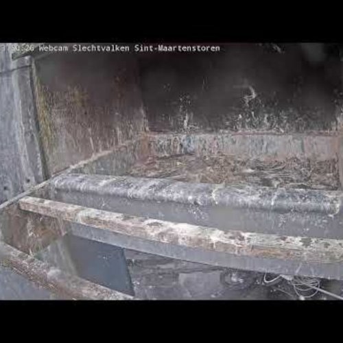 Kortrijk Live Camera: View Over Flanders