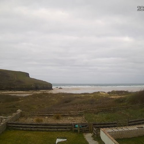 Experience The Beauty Of Newquay Beach Live