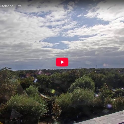 Camping Weltevreden Zoutelande Live Webcam: Coastal Views & Campsite Life