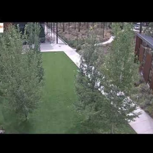 Oregon State University Campus View Live Webcam