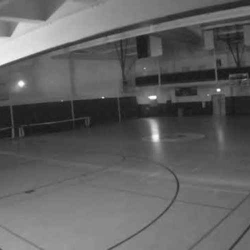 Collins Indoor Basketball Court Live View