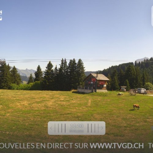 Gryon Les Chaux Live Webcam: Alpine Views & Mountain Life in Switzerland