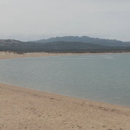 Live Beach View: Olbia Coastline & Sardinian Landscape