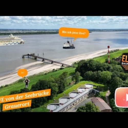 Live Elbe River Webcam: Shipspotting at Grauerort, Germany
