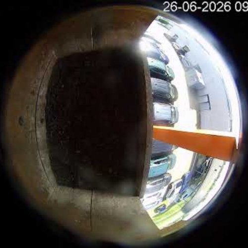 Schoolderman Bird House Nest Live Camera in Zutphen