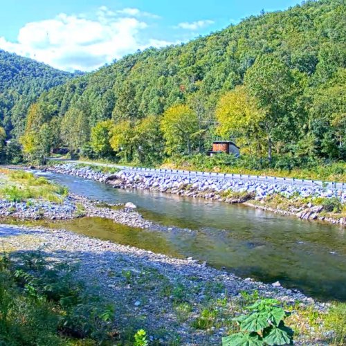 Hartford, Tennessee Live Webcam | Cherokee River Scenery