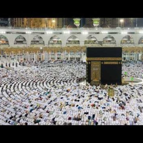 Masjid al-Haram Live Stream: Makkah Devotee Gallery