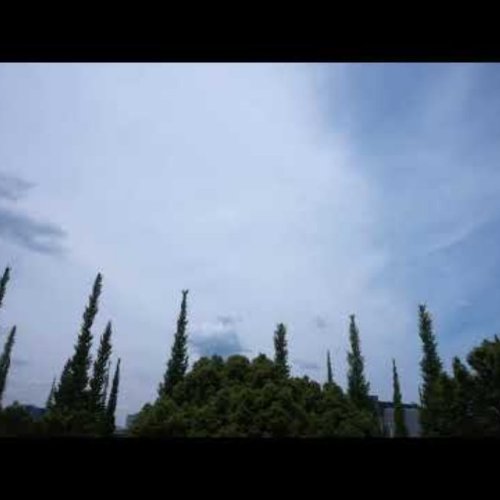 Jingu Gaien Ginkgo Avenue Sky View